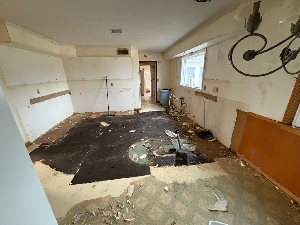 Whole Home Remodel Begins with Kitchen and Living Area Demolition image
